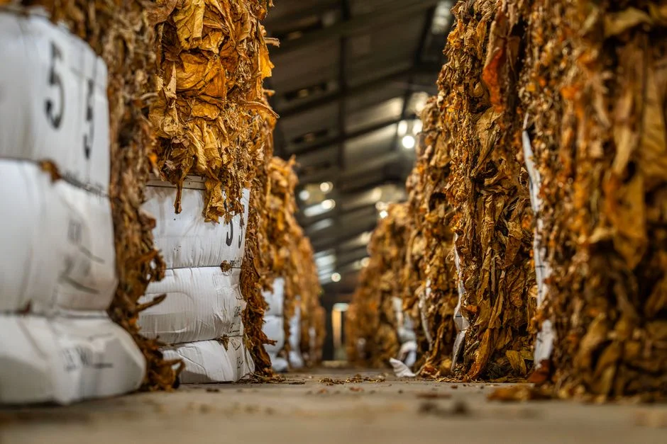 curing-chambers product image