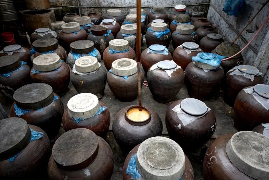 curing-fermentation product image