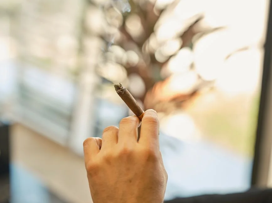 Cold Smoke Generator Buyer's Guide: What Actually Matters