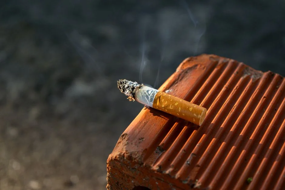 Cold Smoking Smoker Buyer's Guide: Equipment & Methods